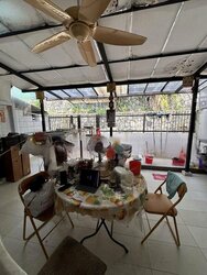 Mount Sinai (D10), Terrace #456399001